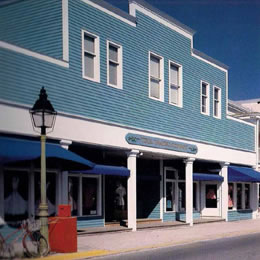 Pintura de Pared Exterior Especial ZB97-2